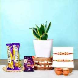 AD Rakhi and Snake Plant with Mouthfuls 1