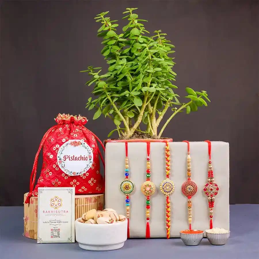Vibrant Rakhi N Wellness Gift Combo