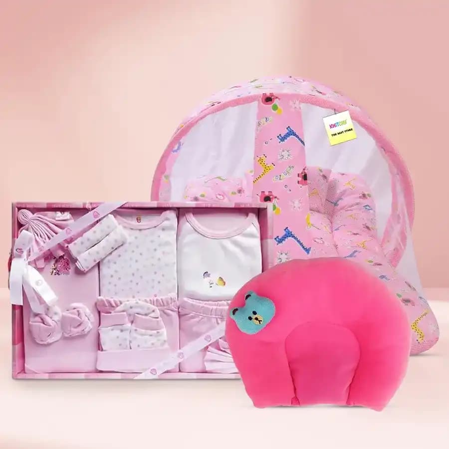 Wonderful Pink Baby Girl Dress Set with Mosquito Net N Neck Support Pillow Combo