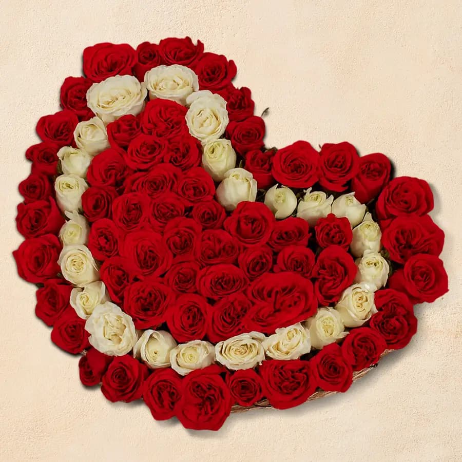 Admirable Heart Shape Arrangement of 75 Red N White Roses