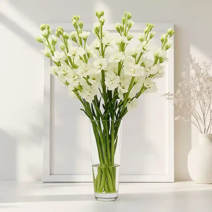 Captivating Arrangement of White Rajniganda Sticks in a Glass Vase
