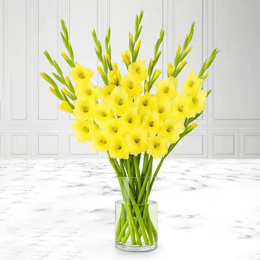 Amazing Yellow Gladiolus in a Glass Vase