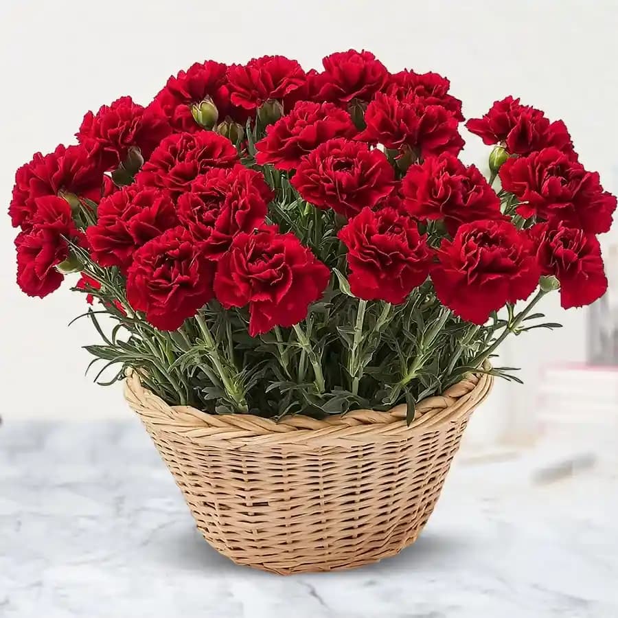 Amazing Red Carnations Basket